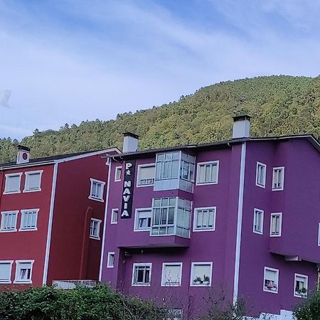 Pension Navia A Pontenova Εξωτερικό φωτογραφία